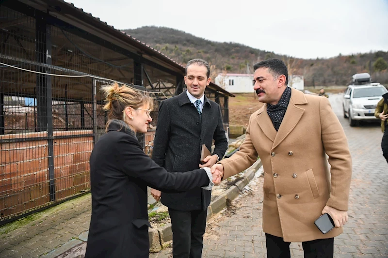 Sokak Hayvanları İçin Barınak Genişletme Çalışmaları Hız Kazanıyor