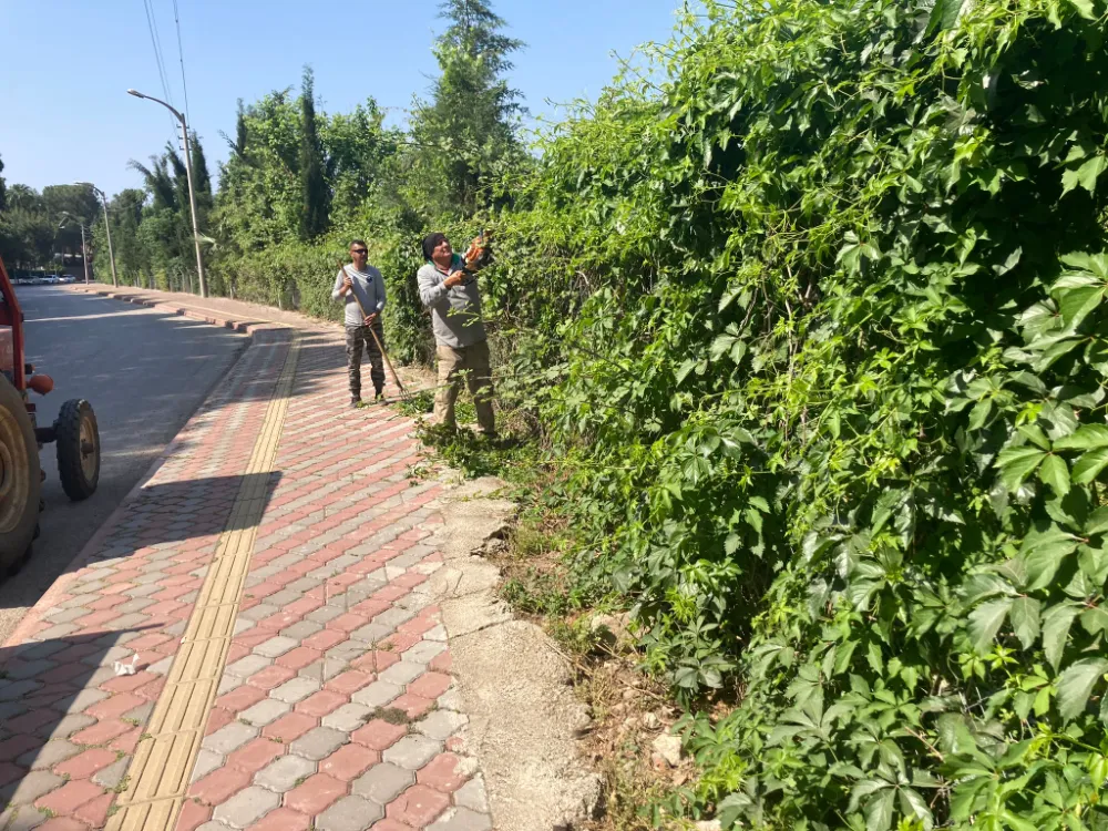 Kemer Belediyesi’nden yeşil alanlarda bakım çalışmaları