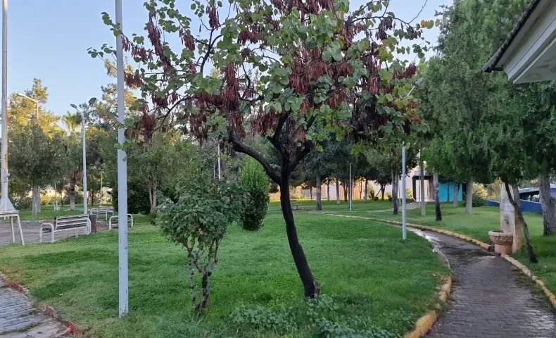 Eyyübiye