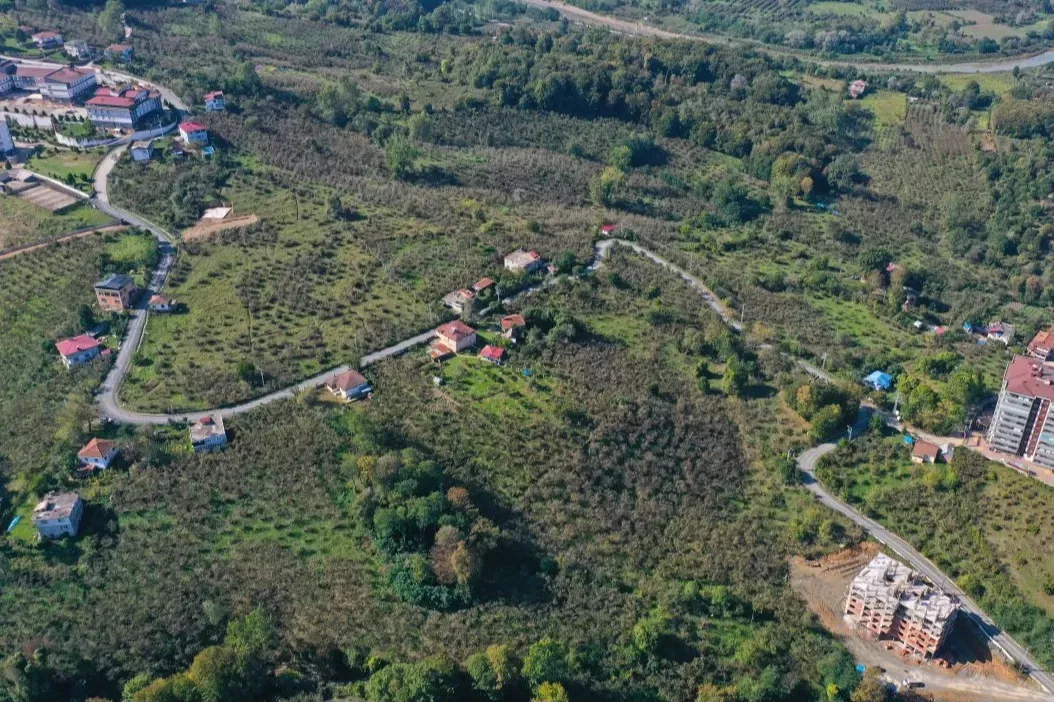 Ordu