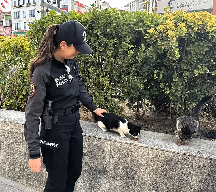 Çevik Kuvvet Noktasının Maskotu Kedi, Polisleri Nöbette de Yalnız Bırakmıyor