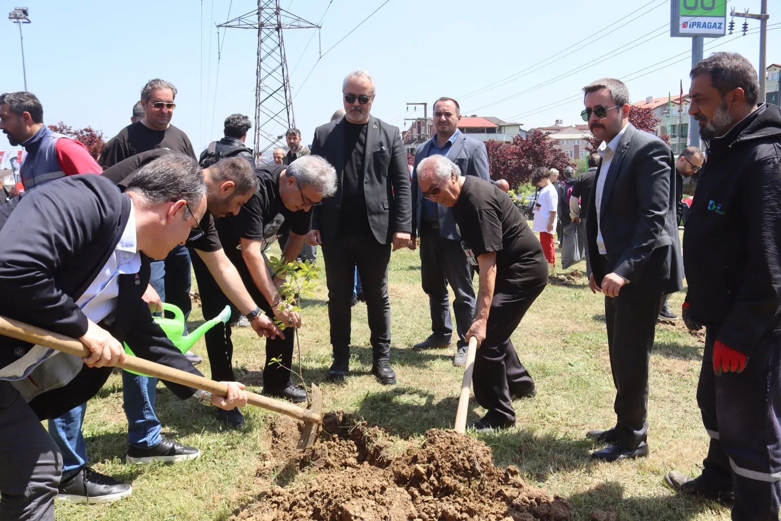 İzmit