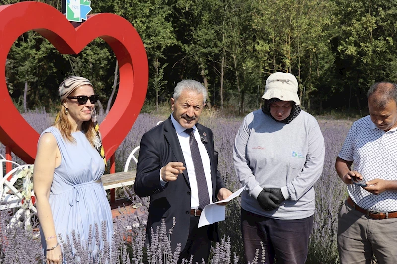 TARLADA LAVANTA, ŞİŞEDE KOLONYA, YÜREKTE EMEK..