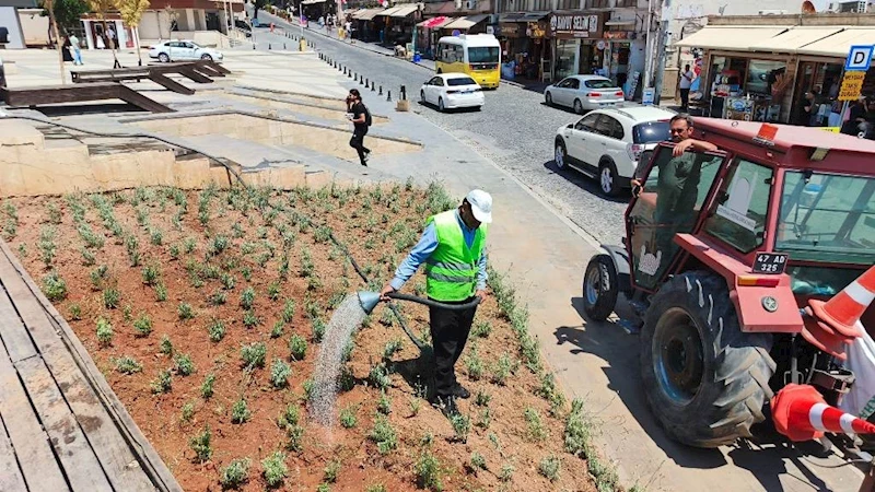 Tarihi 1. Cadde ve Cumhuriyet Meydanı Lavanta Kokacak