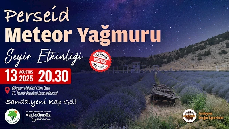 Mamaklılar Meteor Yağmurunu Lavanta Bahçesinde İzleyecek
